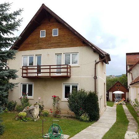 Casa Bunicilor Villa Colonia Sase Martie ภายนอก รูปภาพ