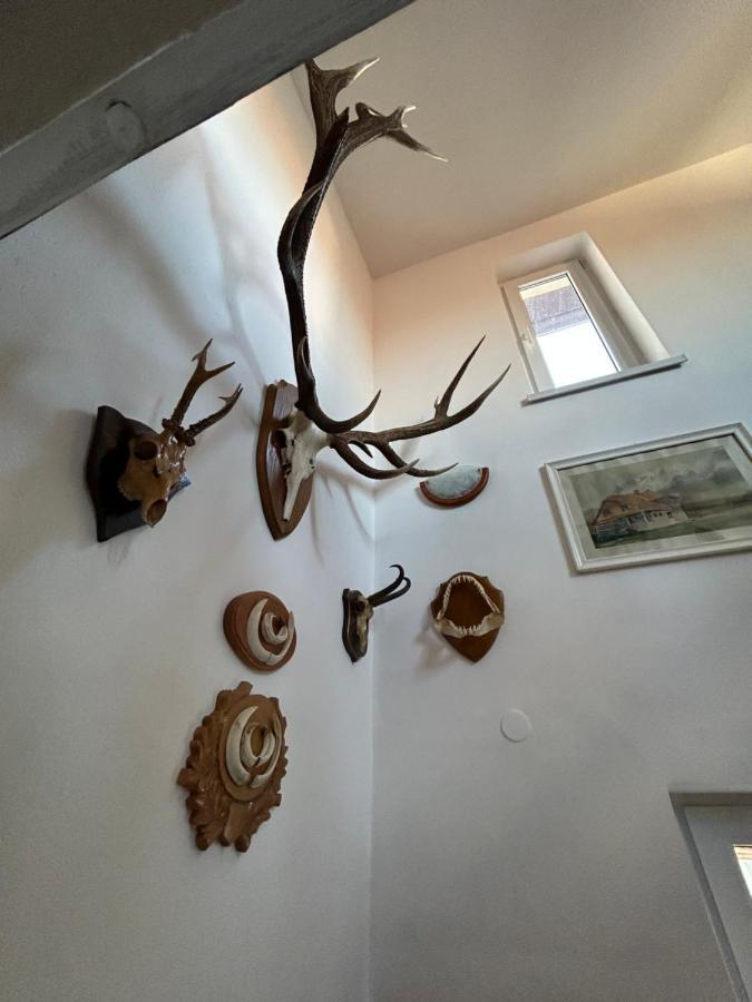 Casa Bunicilor Villa Colonia Sase Martie ภายนอก รูปภาพ