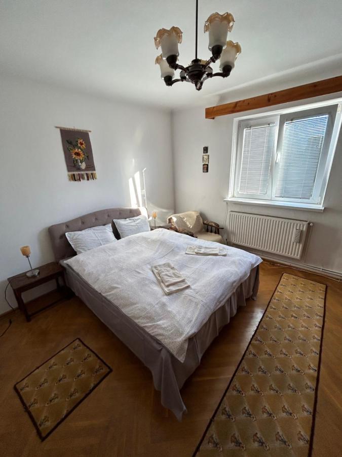 Casa Bunicilor Villa Colonia Sase Martie ภายนอก รูปภาพ